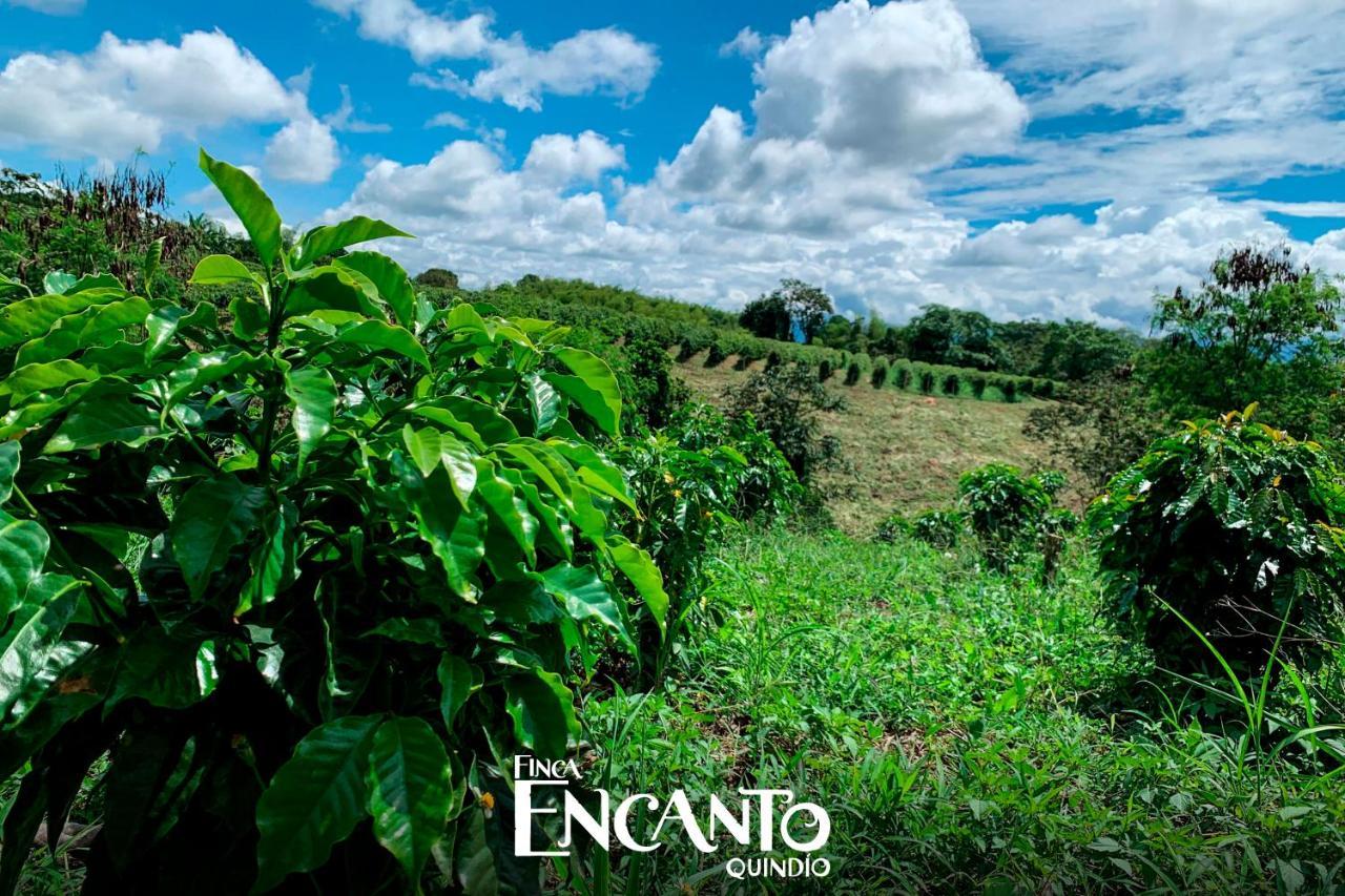 Encanto Quindio Hotel *